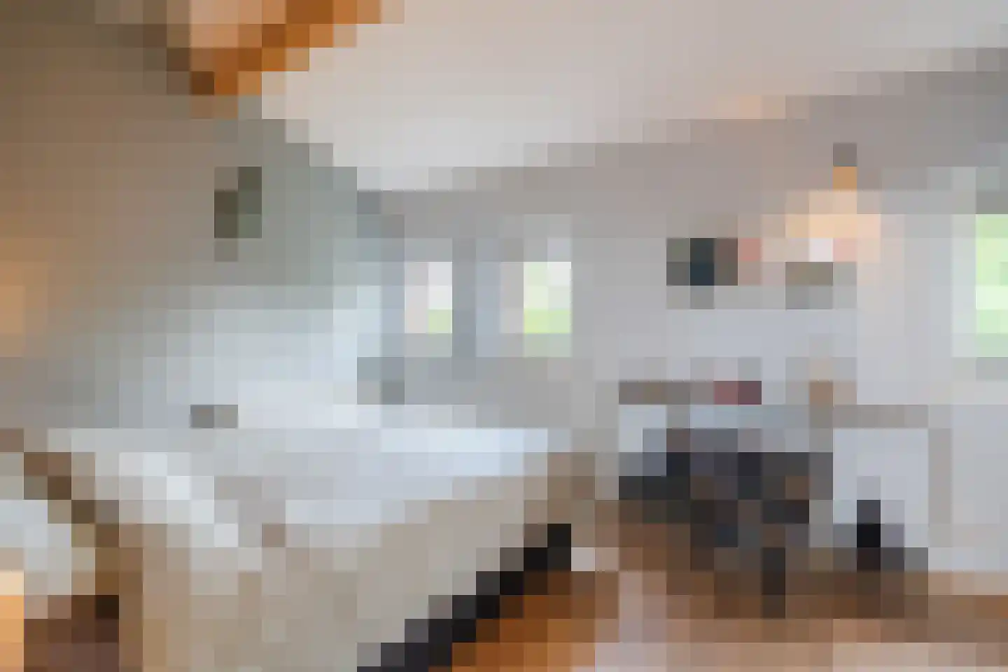 Tijmhof 10 Montfoort thumbnail 24