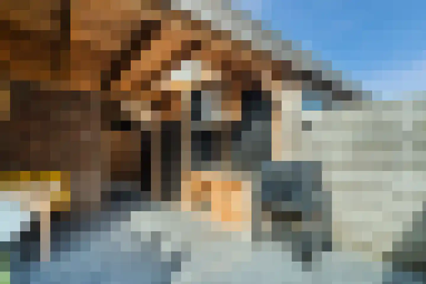 Tijmhof 10 Montfoort thumbnail 31