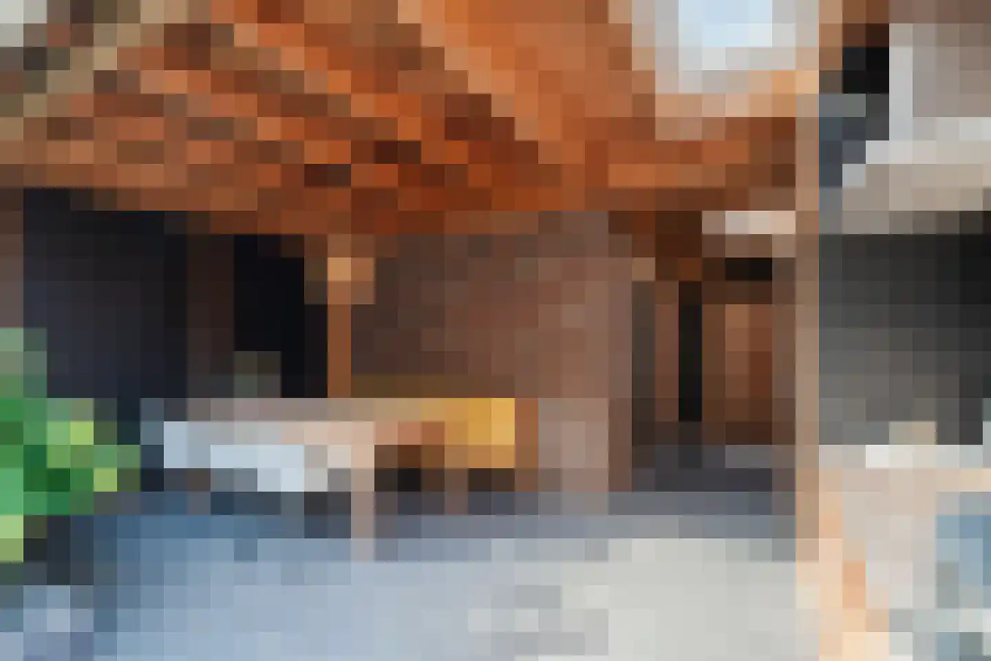Tijmhof 10 Montfoort thumbnail 32