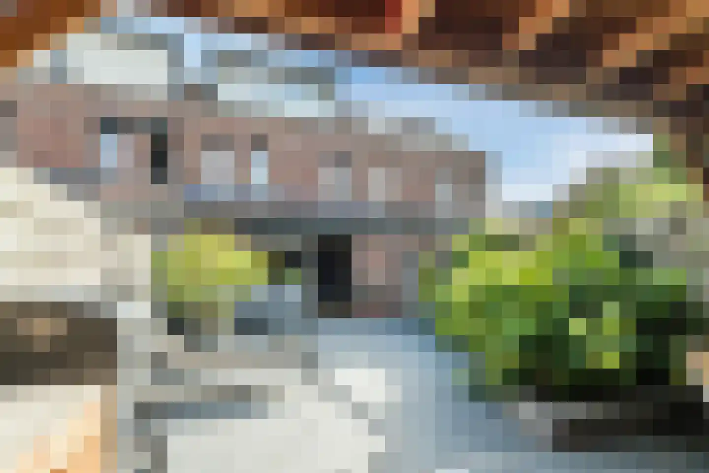 Tijmhof 10 Montfoort thumbnail 34