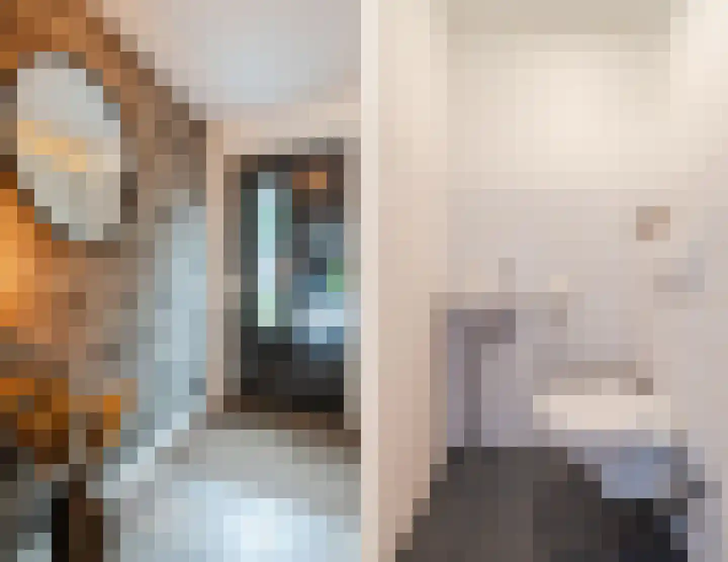 Tijmhof 10 Montfoort thumbnail 9