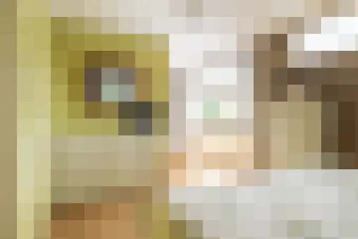 Tijmhof 26 Oosterhout thumbnail 19
