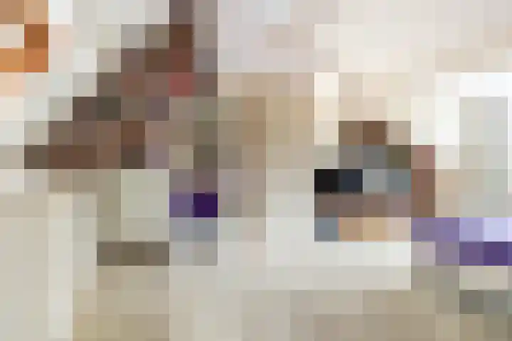 Tijmhof 26 Oosterhout thumbnail 29