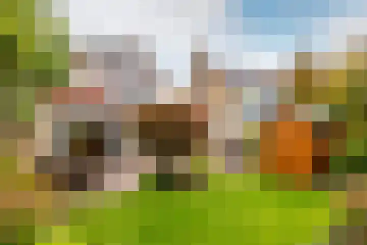 Tijmhof 26 Oosterhout thumbnail 30