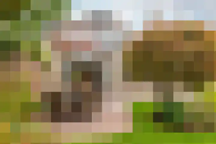 Tijmhof 26 Oosterhout thumbnail 31