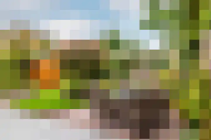 Tijmhof 26 Oosterhout thumbnail 32