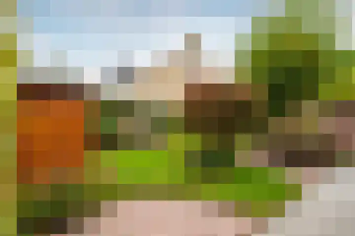 Tijmhof 26 Oosterhout thumbnail 33