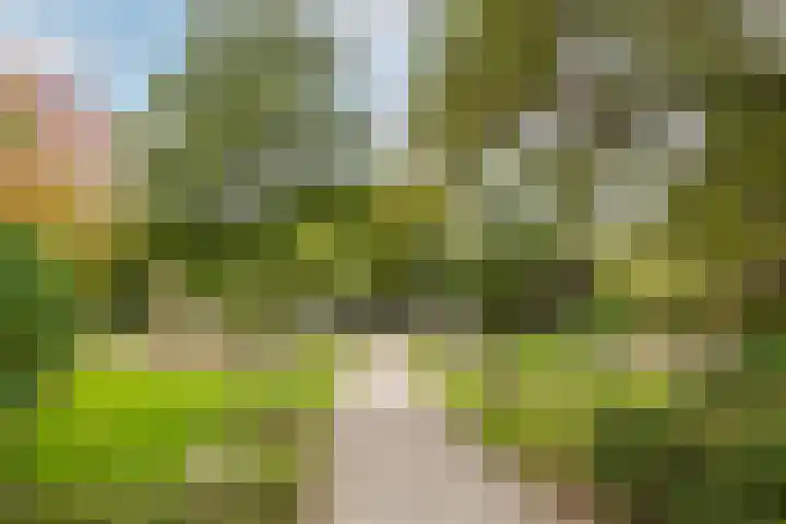 Tijmhof 26 Oosterhout thumbnail 35