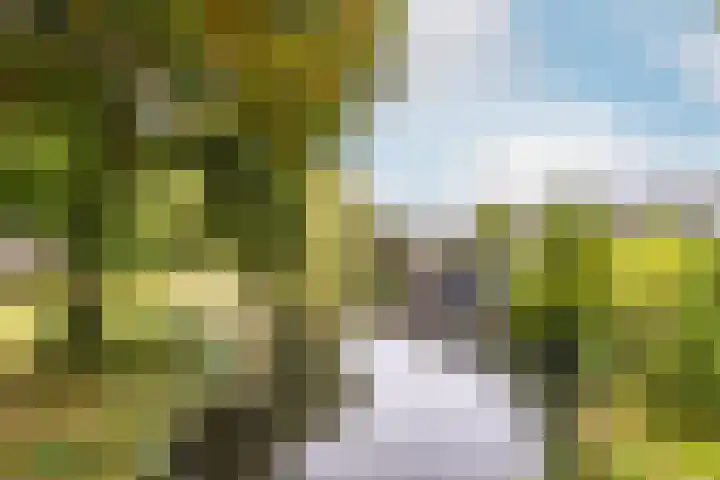 Tijmhof 26 Oosterhout thumbnail 36