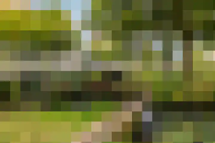 Tijmhof 26 Oosterhout thumbnail 37
