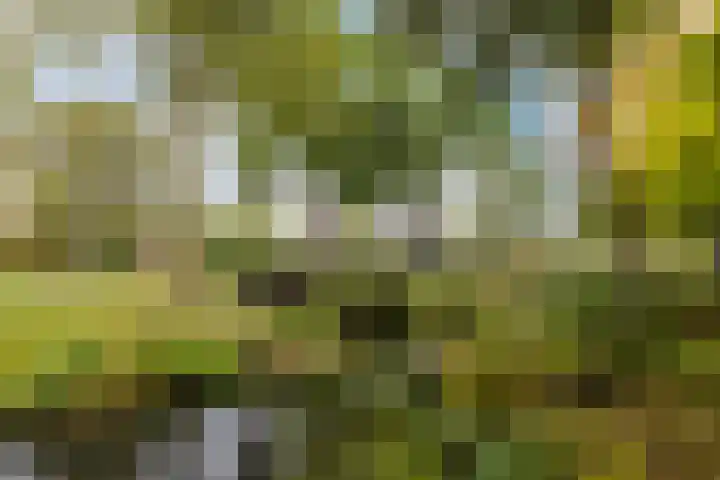Tijmhof 26 Oosterhout thumbnail 38