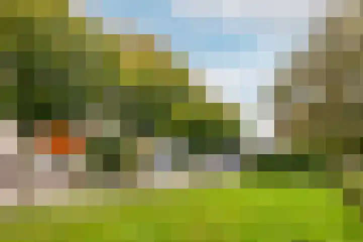 Tijmhof 26 Oosterhout thumbnail 4