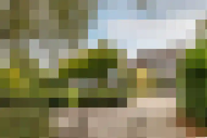 Tijmhof 26 Oosterhout thumbnail 5