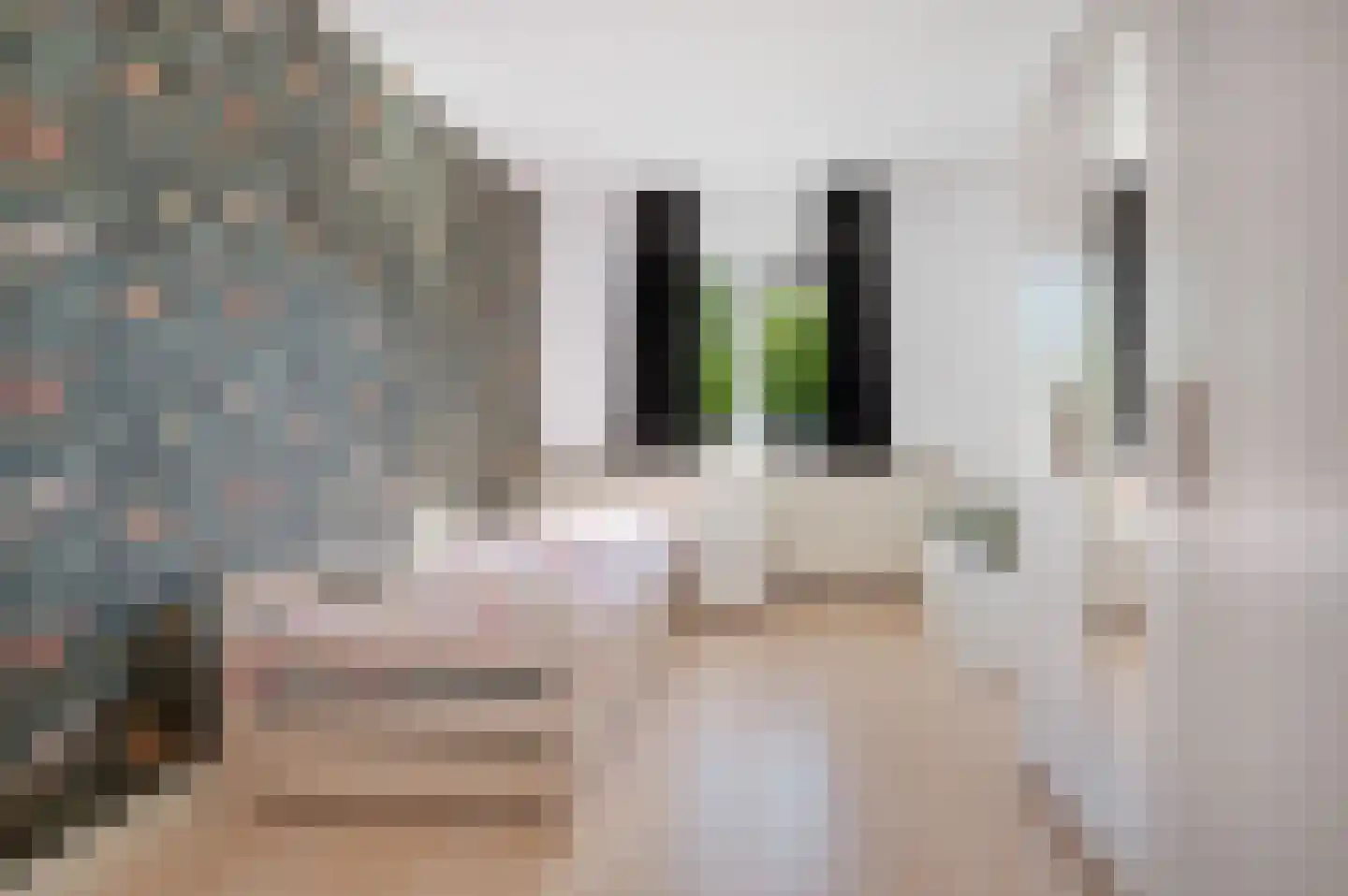 Tijmhof 32 Schijndel thumbnail 16