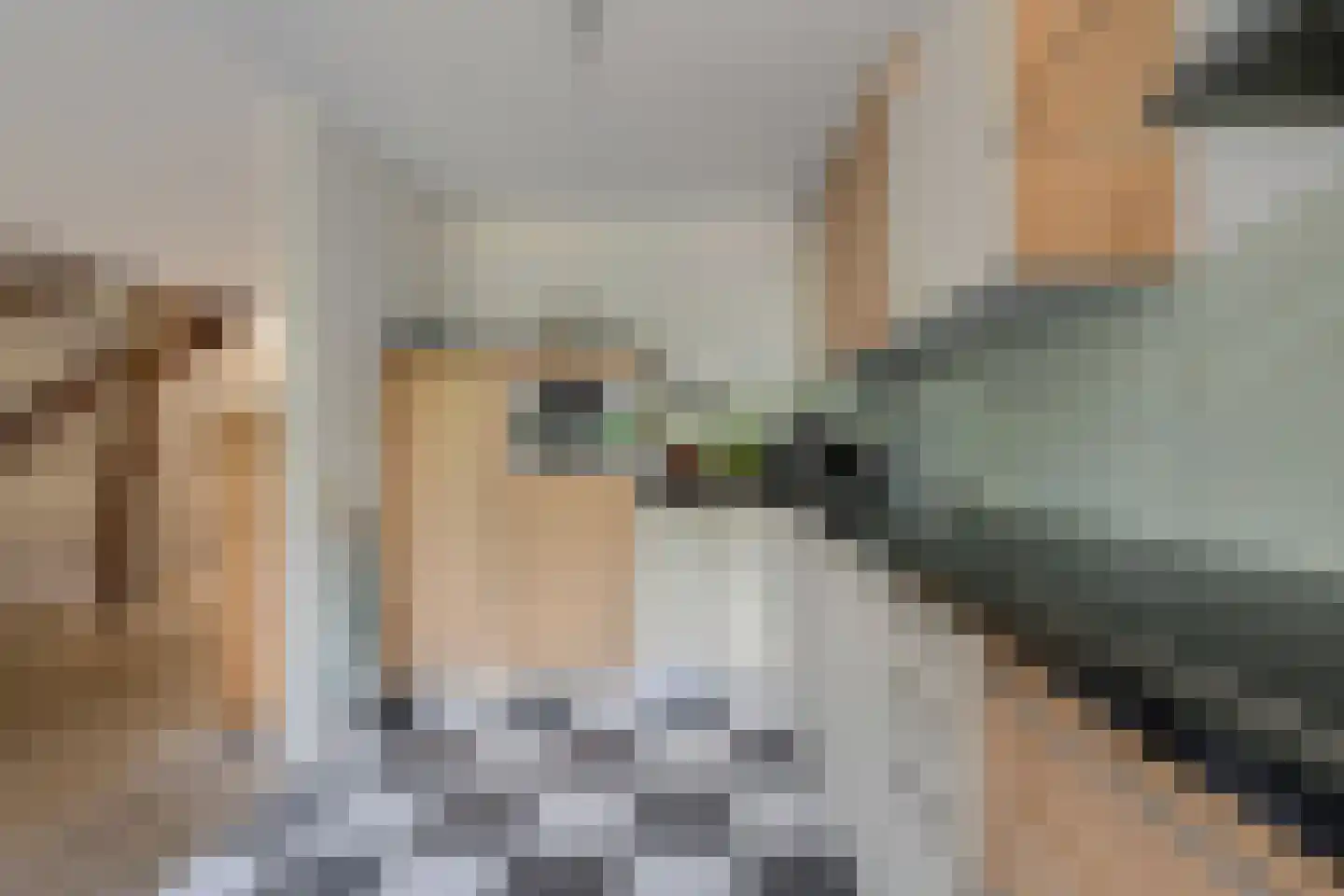 Tijmhof 46 Oosterhout thumbnail 16
