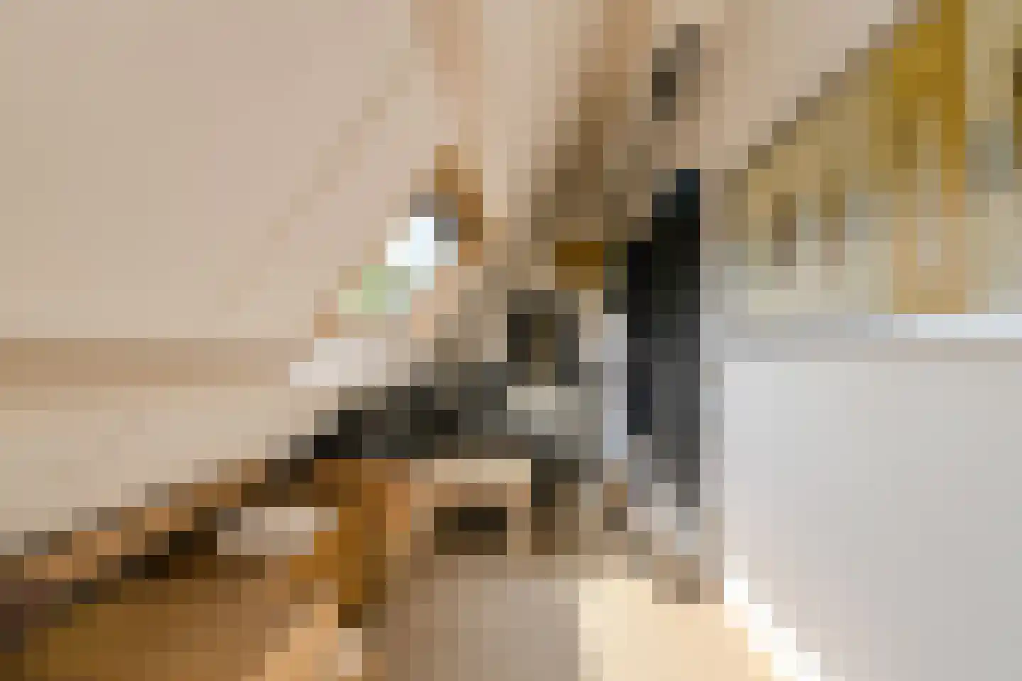 Tijmhof 46 Oosterhout thumbnail 33
