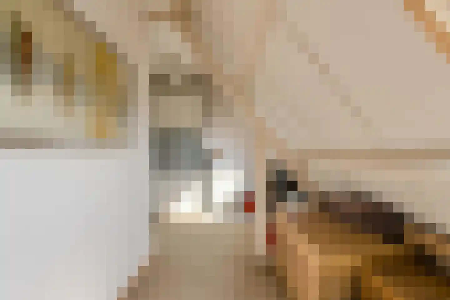 Tijmhof 46 Oosterhout thumbnail 34
