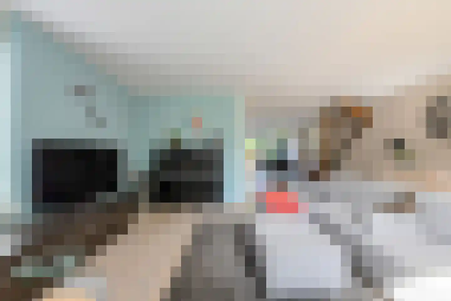 Tijmhof 46 Oosterhout thumbnail 7