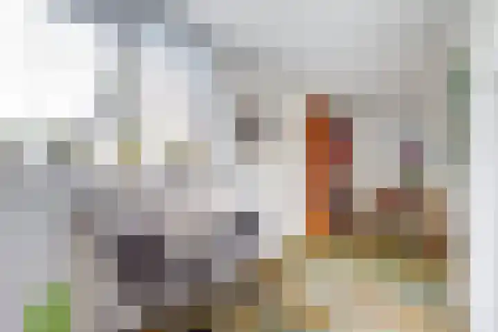 Tijmhof 67 Oosterhout thumbnail 10
