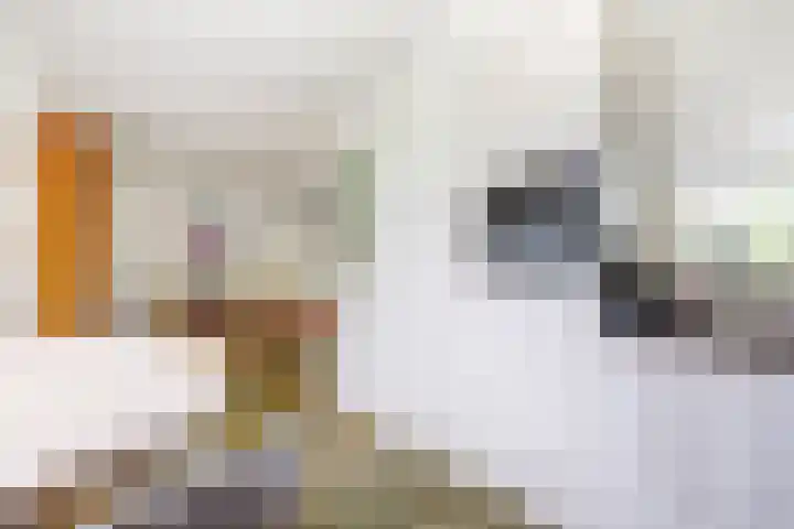 Tijmhof 67 Oosterhout thumbnail 11