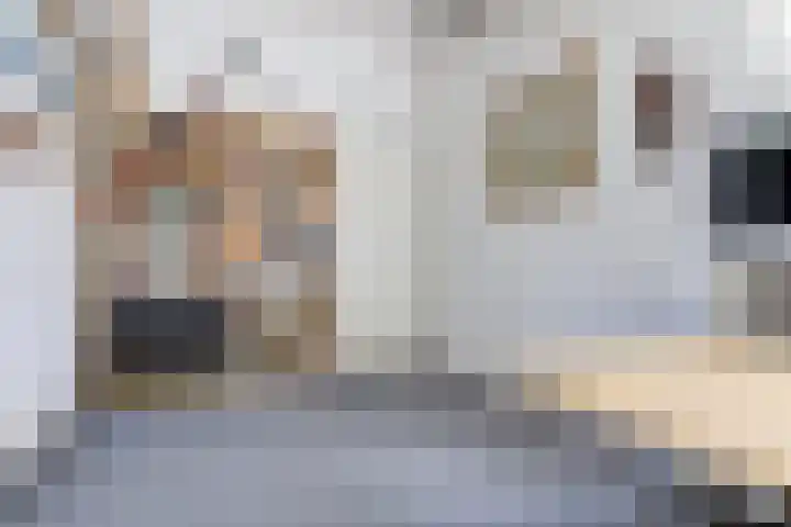 Tijmhof 67 Oosterhout thumbnail 18