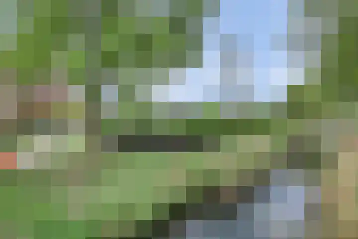Tijmhof 67 Oosterhout thumbnail 26