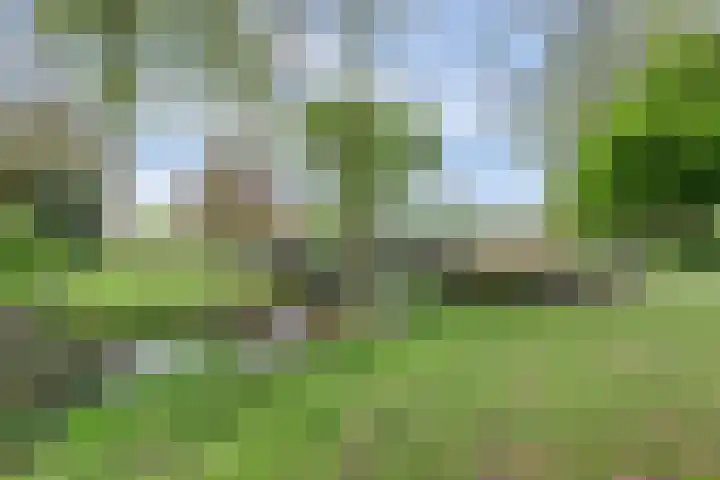 Tijmhof 67 Oosterhout thumbnail 27