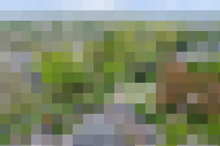 Tijmhof 67 Oosterhout thumbnail 28