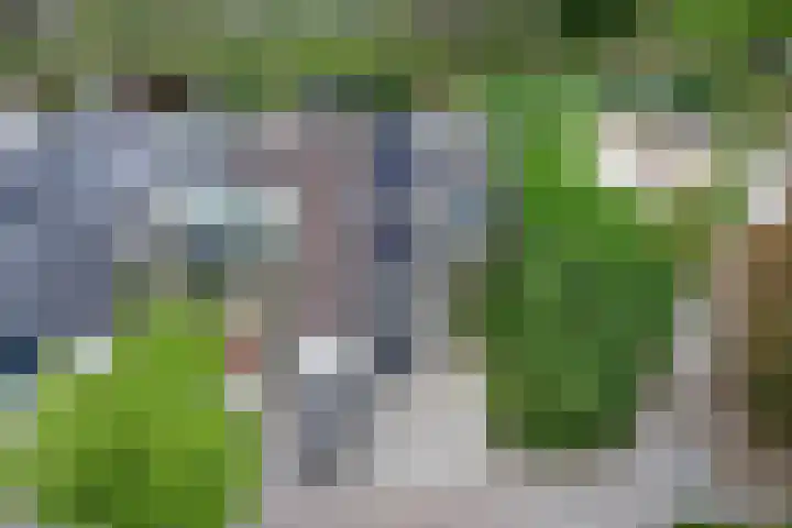 Tijmhof 67 Oosterhout thumbnail 29
