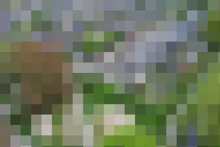 Tijmhof 67 Oosterhout thumbnail 30
