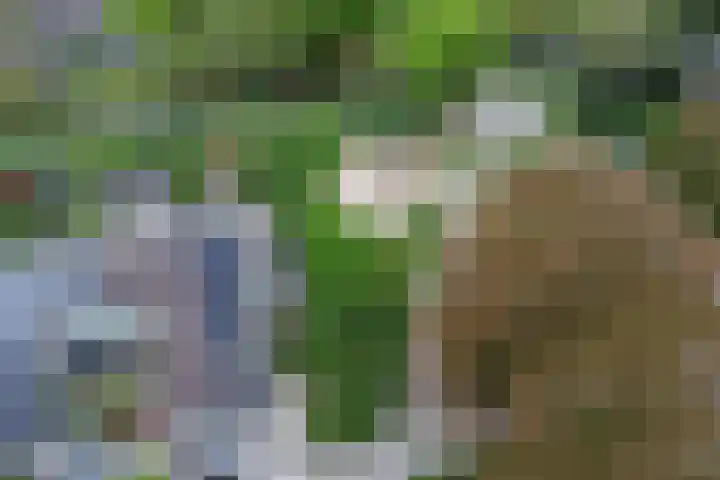 Tijmhof 67 Oosterhout thumbnail 31