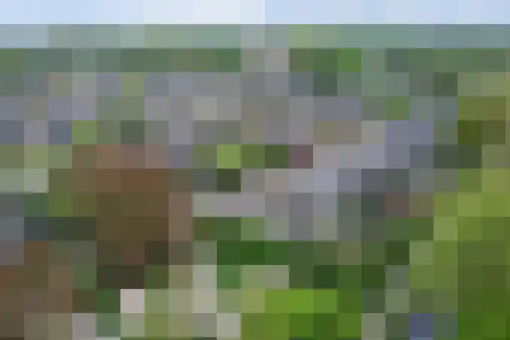 Tijmhof 67 Oosterhout thumbnail 32