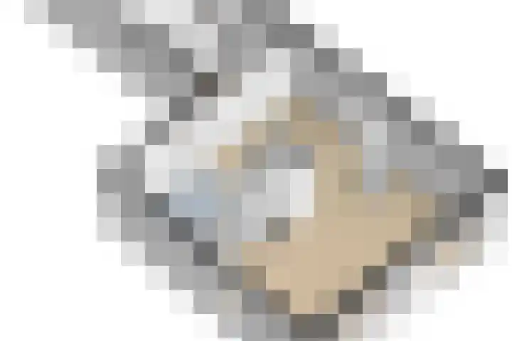 Tijmhof 67 Oosterhout thumbnail 38