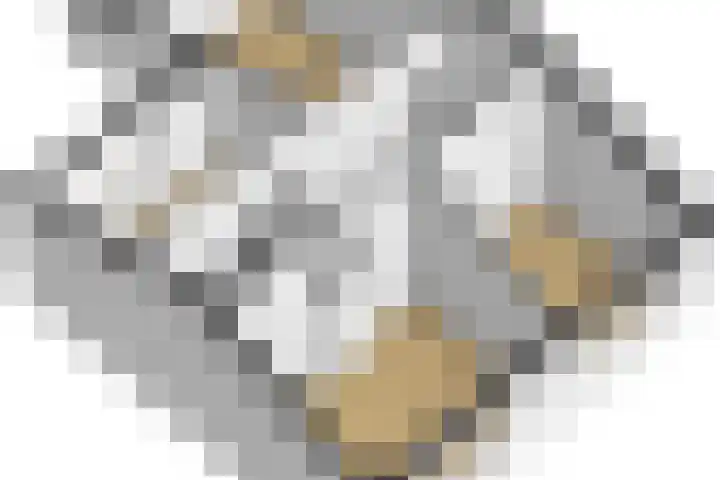 Tijmhof 67 Oosterhout thumbnail 39