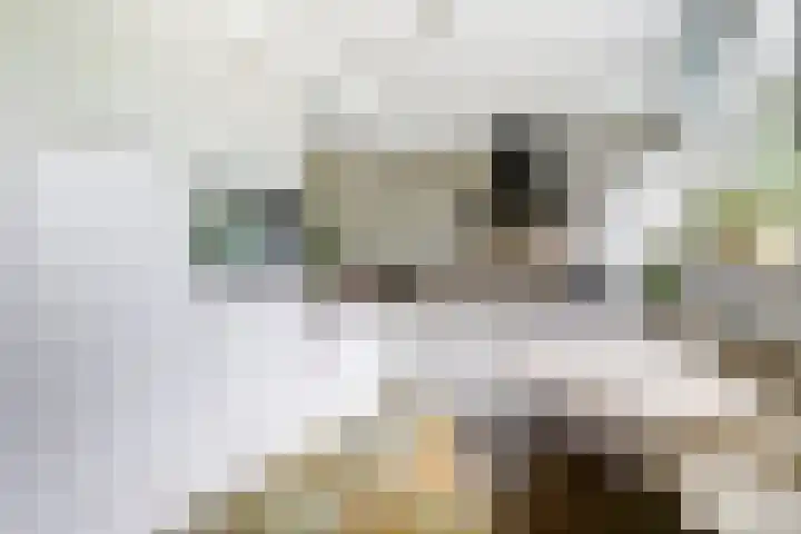 Tijmhof 67 Oosterhout thumbnail 4