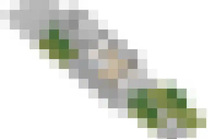 Tijmhof 67 Oosterhout thumbnail 42
