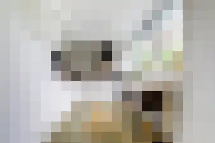 Tijmhof 67 Oosterhout thumbnail 9