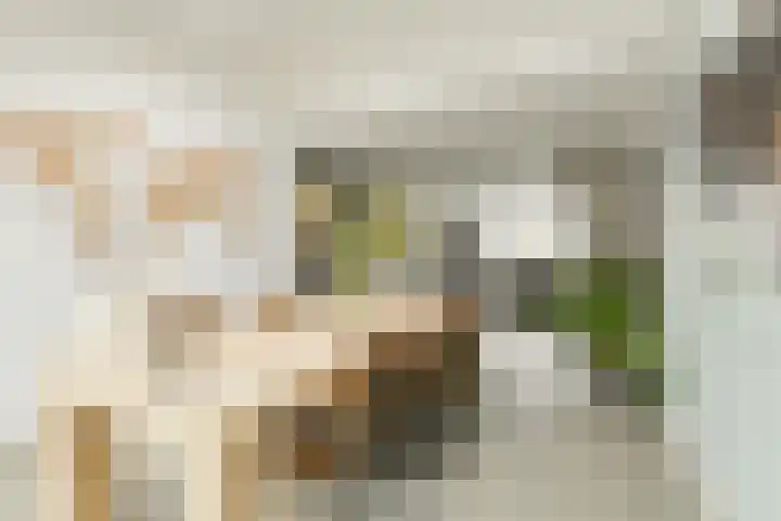 Tijmhof 81 Oosterhout thumbnail 17