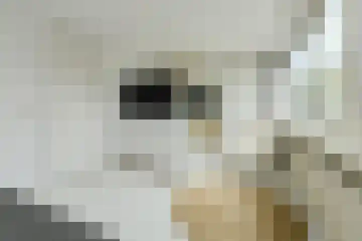Tijmhof 81 Oosterhout thumbnail 22