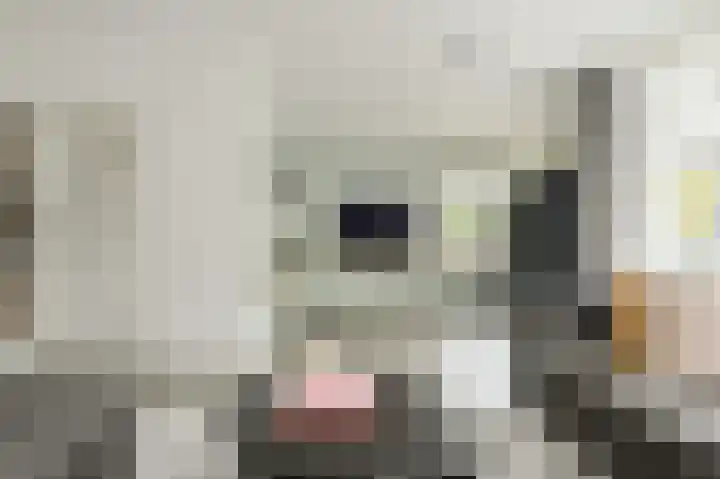Tijmhof 81 Oosterhout thumbnail 5