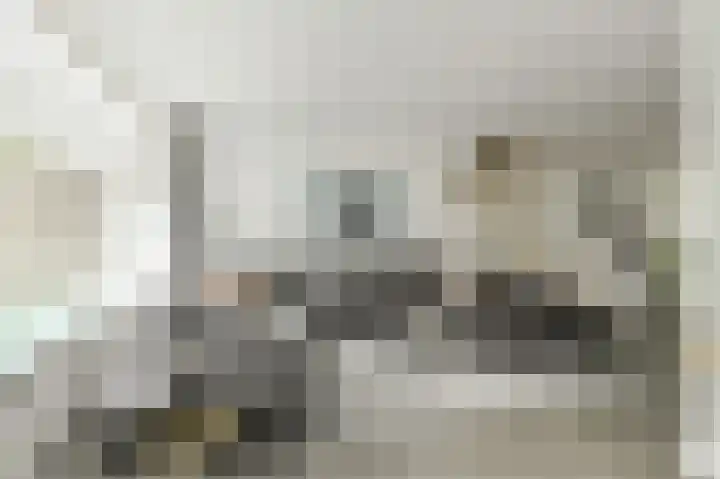Tijmhof 81 Oosterhout thumbnail 6