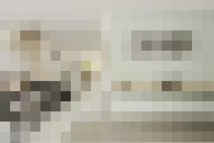 Tijmhof 81 Oosterhout thumbnail 7