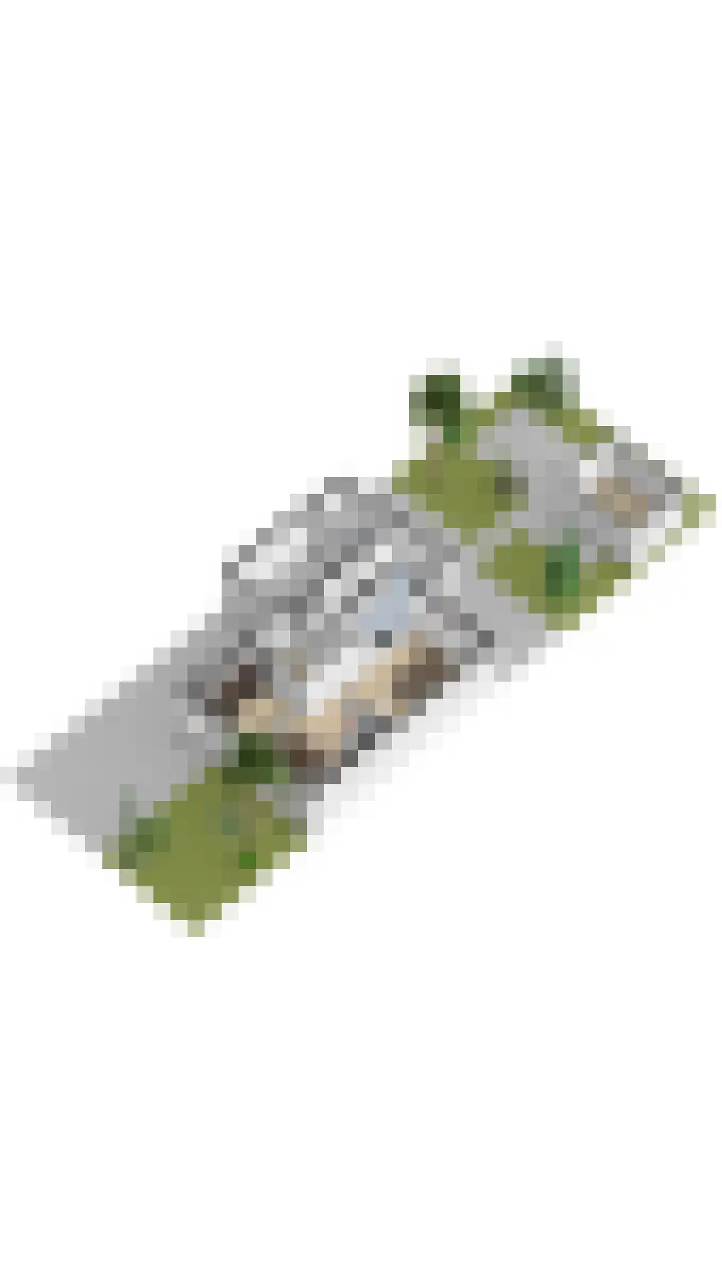 Tijmhof 95 Oosterhout thumbnail 39