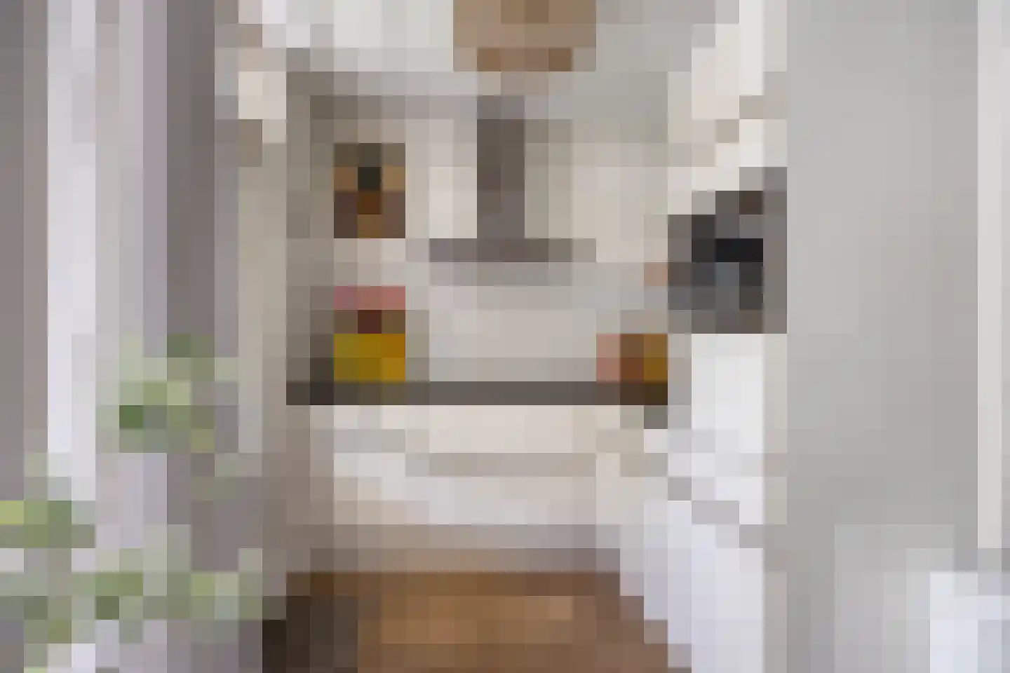 Tijmlaan 26 Grave thumbnail 13