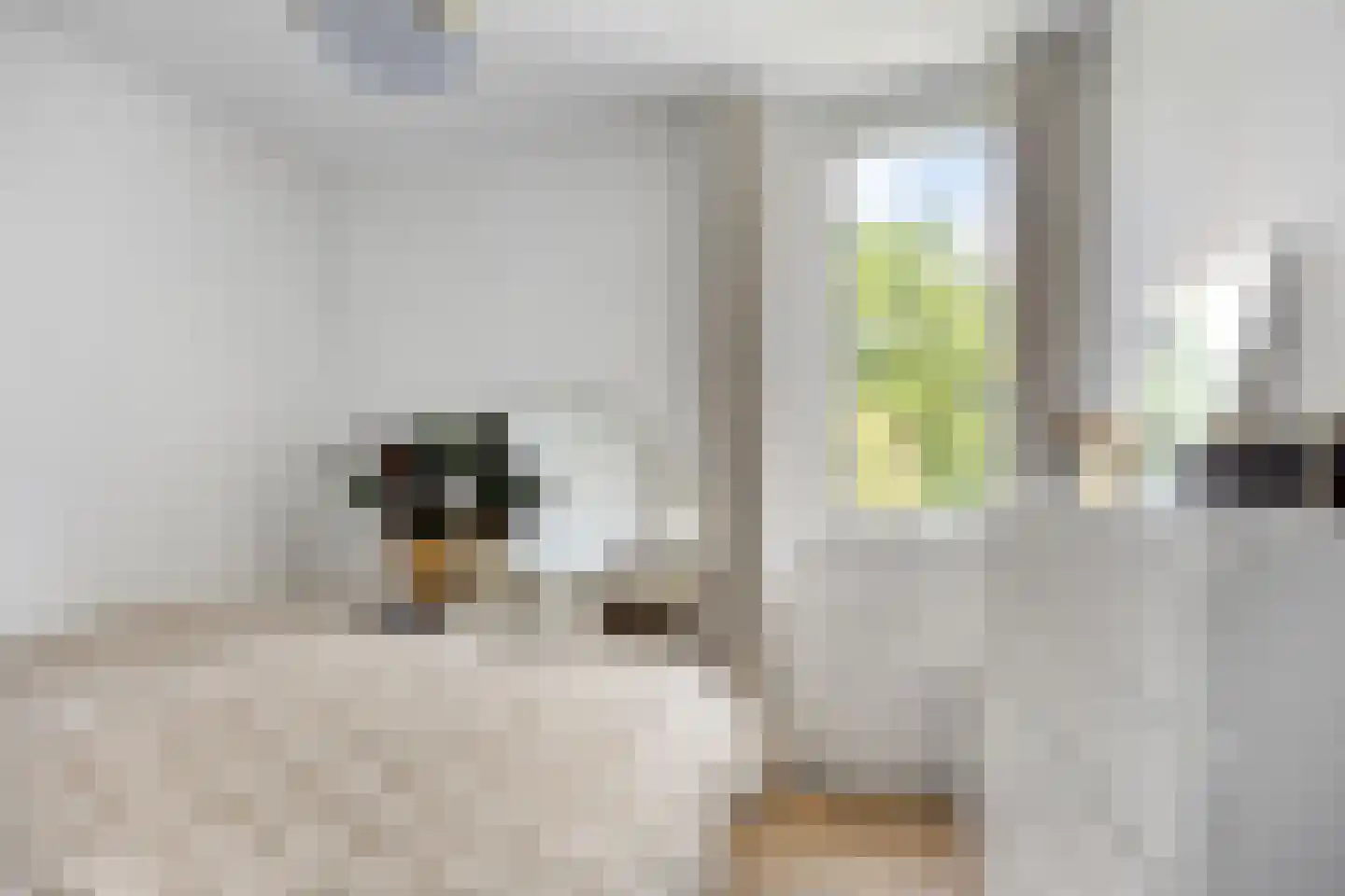 Tijmlaan 26 Grave thumbnail 23