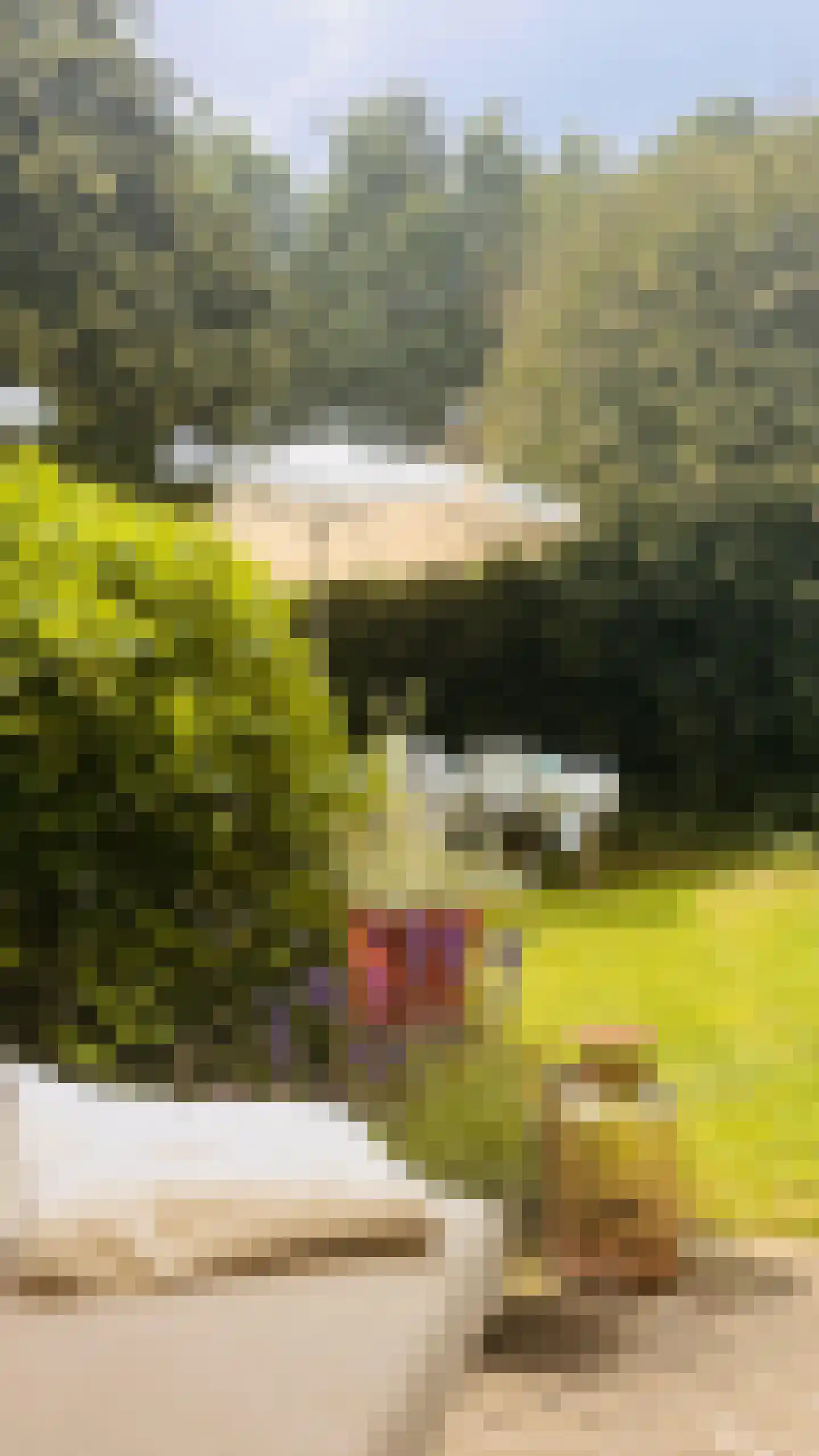 Tijmlaan 26 Grave thumbnail 34
