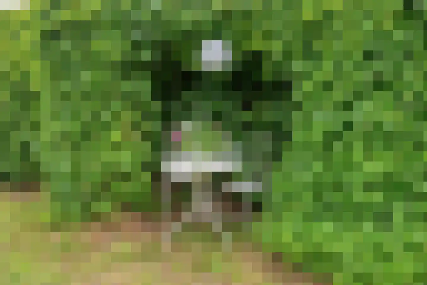 Tijmlaan 26 Grave thumbnail 35