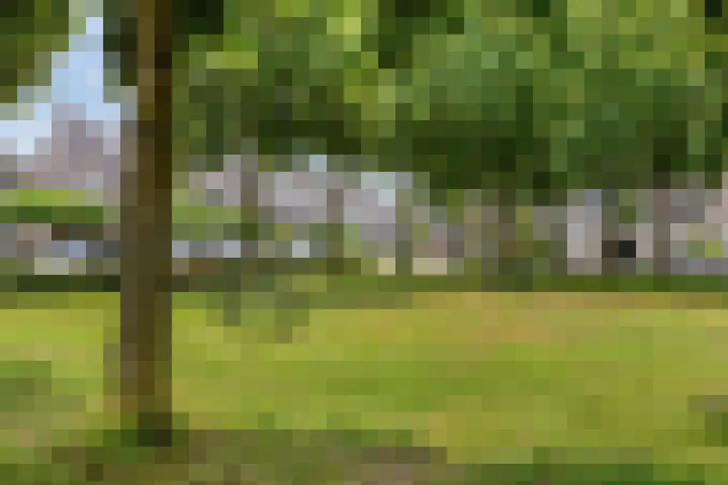 Tijmlaan 26 Grave thumbnail 39