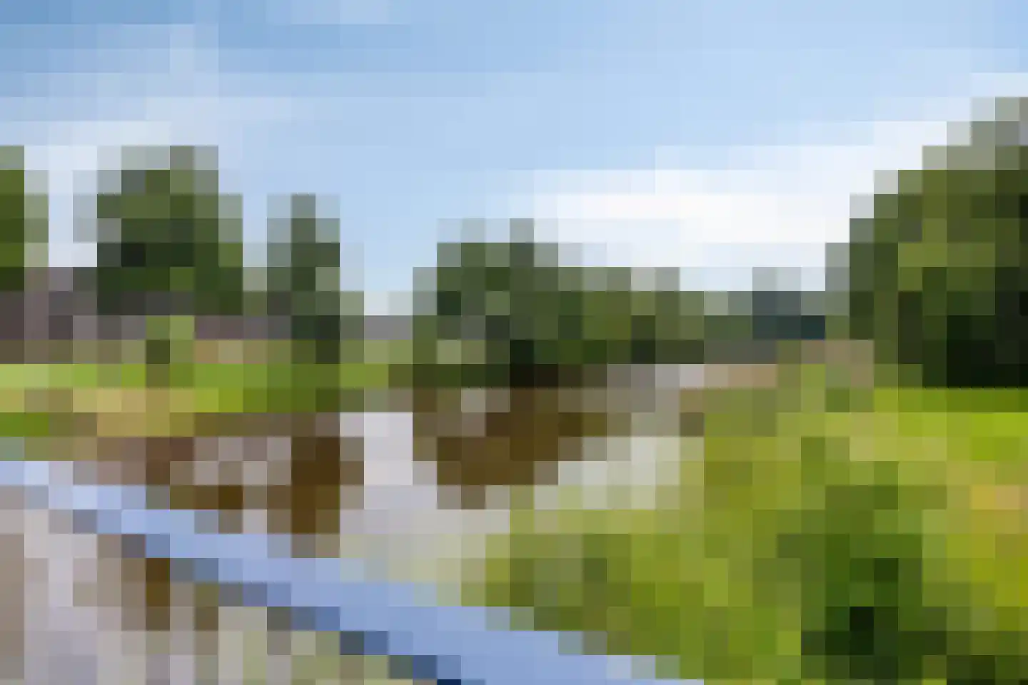 Tijmlaan 26 Grave thumbnail 41