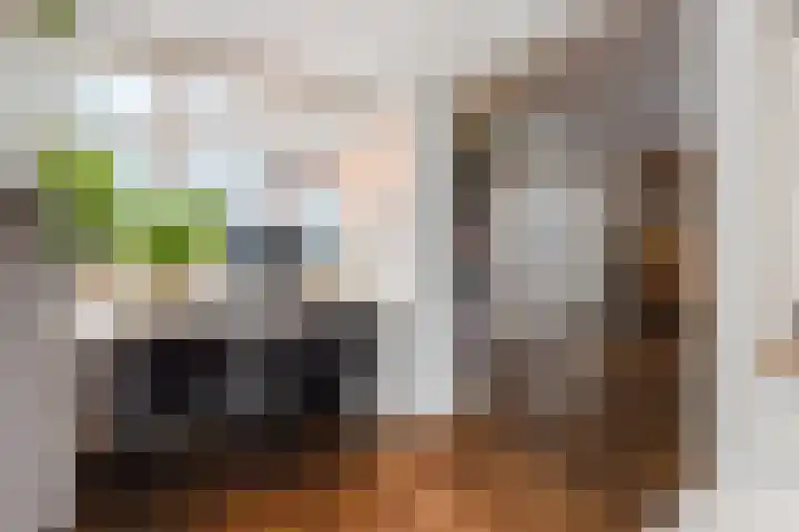 Tijmlaan 74 Ermelo thumbnail 17